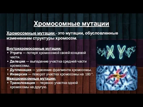 Хромосомные мутации Хромосомные мутации - это мутации, обусловленные изменением структуры хромосом.