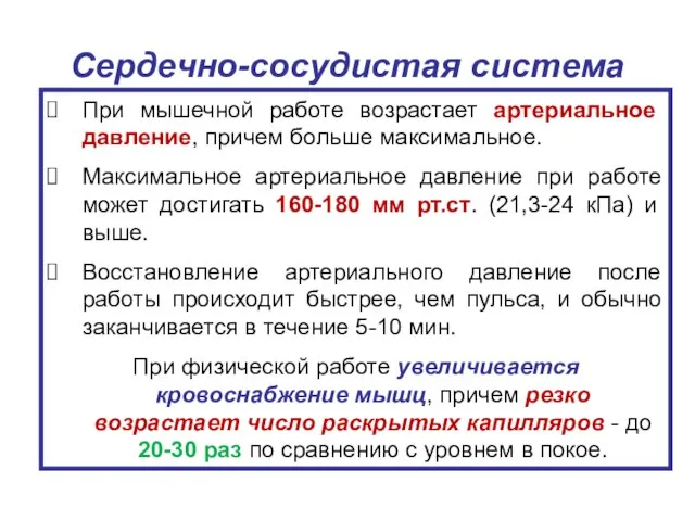 Сердечно-сосудистая система При мышечной работе возрастает артериальное давление, причем больше максимальное.