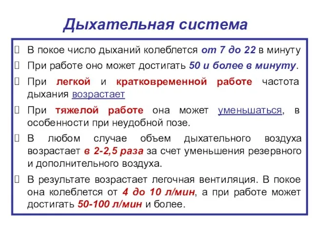 Дыхательная система В покое число дыханий колеблется от 7 до 22