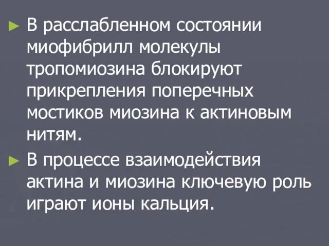 В расслабленном состоянии миофибрилл молекулы тропомиозина блокируют прикрепления поперечных мостиков миозина