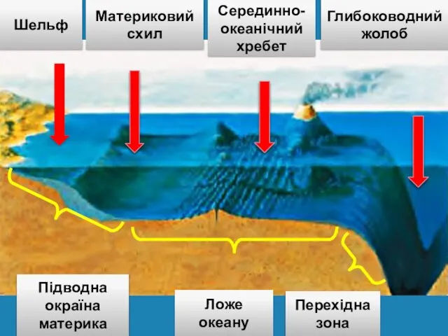 Шельф Материковий схил Серединно- океанічний хребет Глибоководний жолоб Підводна окраїна материка Ложе океану Перехідна зона