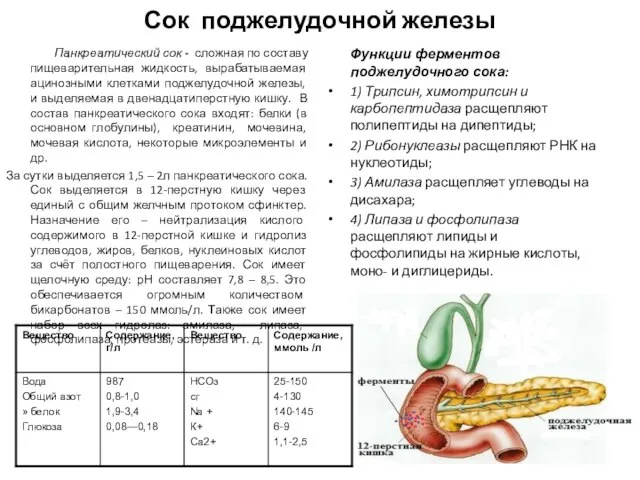 Сок поджелудочной железы Панкреатический сок - сложная по составу пищеварительная жидкость,