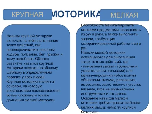 МОТОРИКА КРУПНАЯ МЕЛКАЯ Навыки крупной моторики включают в себя выполнение таких