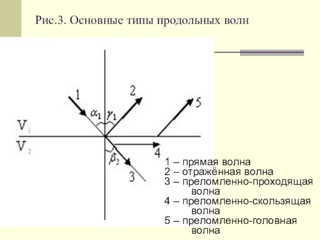 Рис.3. Основные типы продольных волн 1 – прямая волна 2 –