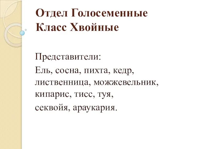 Отдел Голосеменные Класс Хвойные Представители: Ель, сосна, пихта, кедр, лиственница, можжевельник, кипарис, тисс, туя, секвойя, араукария.