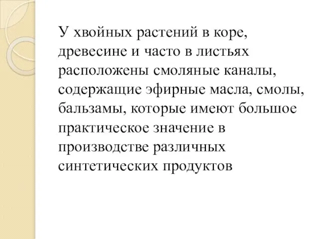 У хвойных растений в коре, древесине и часто в листьях расположены