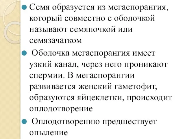 Семя образуется из мегаспорангия, который совместно с оболочкой называют семяпочкой или