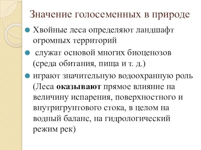 Значение голосеменных в природе Хвойные леса определяют ландшафт огромных территорий служат