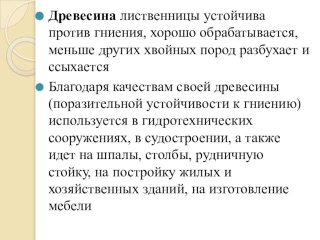 Древесина лиственницы устойчива против гниения, хорошо обрабатывается, меньше других хвойных пород