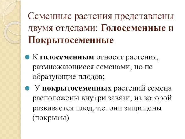 Семенные растения представлены двумя отделами: Голосеменные и Покрытосеменные К голосеменным относят