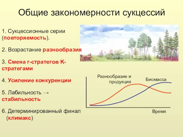 Общие закономерности сукцессий 1. Сукцессионные серии (повторяемость). 2. Возрастание разнообразия 3.