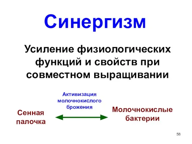 Синергизм Усиление физиологических функций и свойств при совместном выращивании Сенная палочка Молочнокислые бактерии Активизация молочнокислого брожения