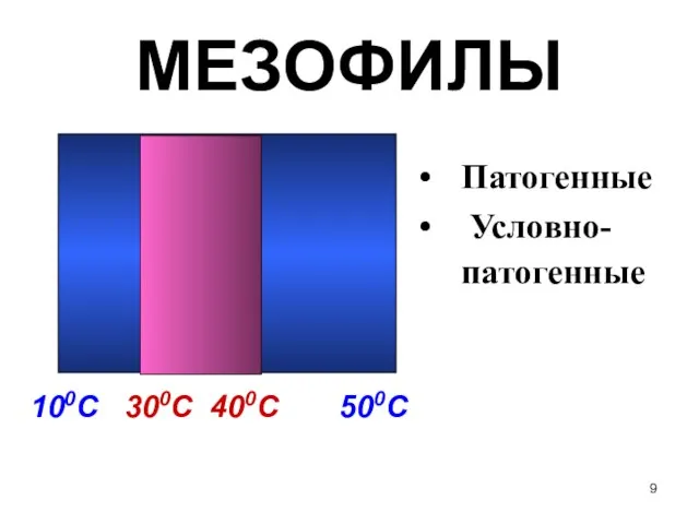 МЕЗОФИЛЫ 100С 300С 400С 500С Патогенные Условно-патогенные