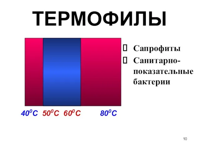 ТЕРМОФИЛЫ 400С 500С 600С 800С Сапрофиты Санитарно- показательные бактерии