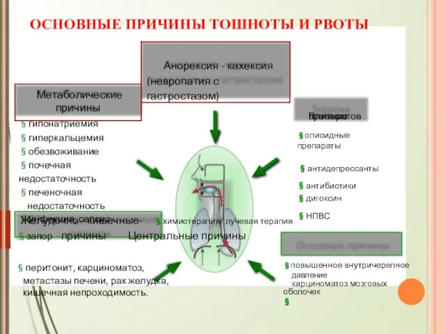 ОСНОВНЫЕ ПРИЧИНЫ ТОШНОТЫ И РВОТЫ Влияние §гипонатриемия §гиперкальцемия §обезвоживание §почечная недостаточность