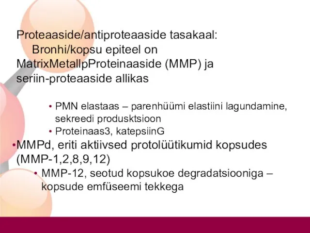 Proteaaside/antiproteaaside tasakaal: Bronhi/kopsu epiteel on MatrixMetallpProteinaaside (MMP) ja seriin-proteaaside allikas PMN