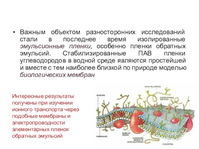 Эмульсионные пленки Важным объектом разносторонних исследований стали в последнее время изолированные