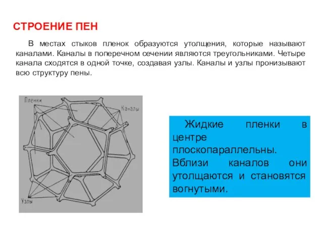 СТРОЕНИЕ ПЕН Жидкие пленки в центре плоскопараллельны. Вблизи каналов они утолщаются