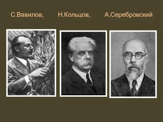 С.Вавилов, Н.Кольцов, А.Серебровский