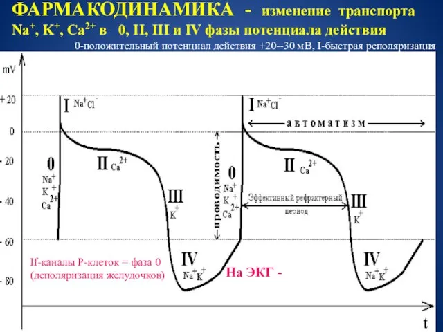 ФАРМАКОДИНАМИКА - изменение транспорта Na+, K+, Ca2+ в 0, II, III