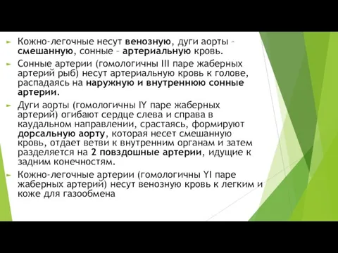 Кожно-легочные несут венозную, дуги аорты – смешанную, сонные – артериальную кровь.