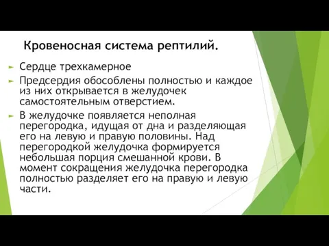 Кровеносная система рептилий. Сердце трехкамерное Предсердия обособлены полностью и каждое из