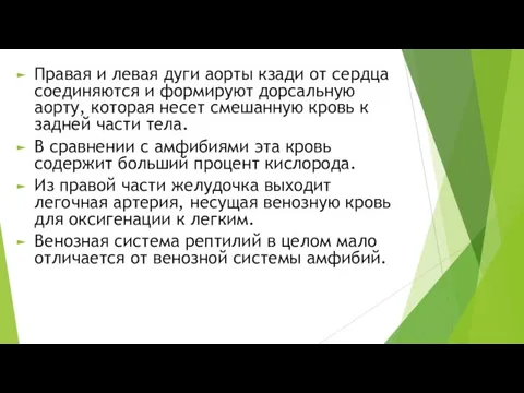 Правая и левая дуги аорты кзади от сердца соединяются и формируют