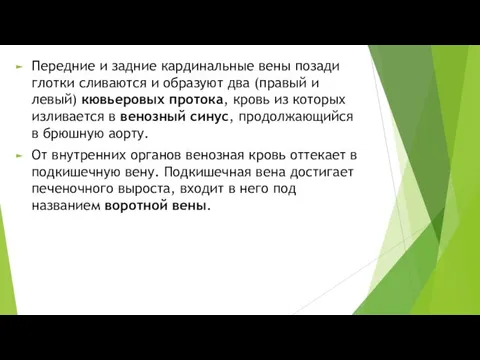 Передние и задние кардинальные вены позади глотки сливаются и образуют два