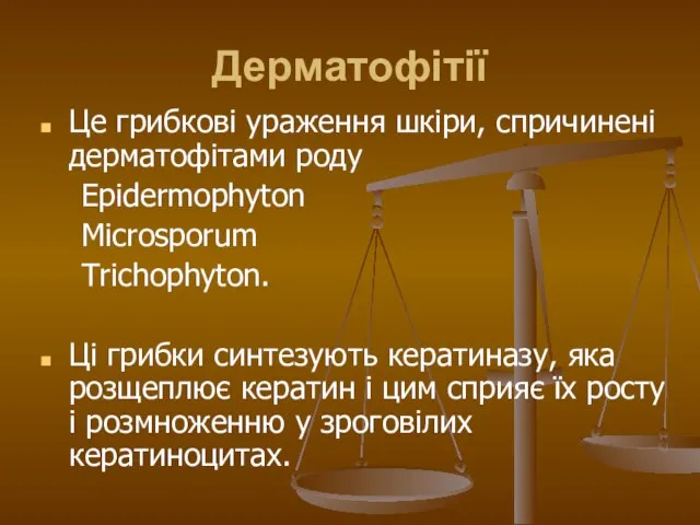 Дерматофітії Це грибкові ураження шкіри, спричинені дерматофітами роду Epidermophyton Microsporum Trichoрhyton.