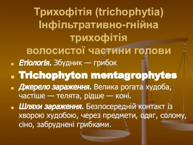 Трихофітія (trichophytia) Інфільтративно-гнійна трихофітія волосистої частини голови Етіологія. Збудник — грибок