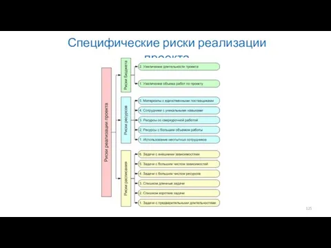 Специфические риски реализации проекта