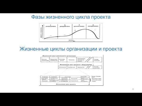 Фазы жизненного цикла проекта Жизненные циклы организации и проекта