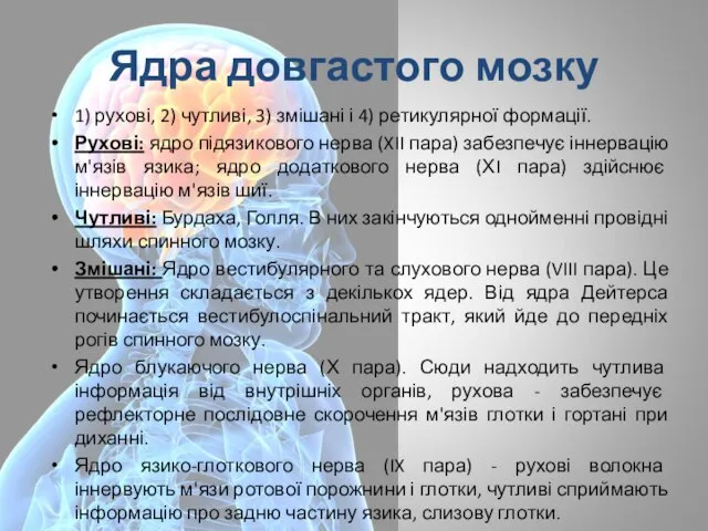 Ядра довгастого мозку 1) рухові, 2) чутливі, 3) змішані і 4)