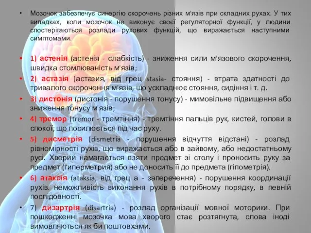 Мозочок забезпечує синергію скорочень різних м'язів при складних рухах. У тих