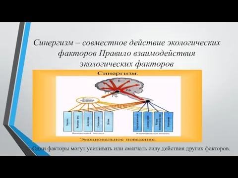 Синергизм – совместное действие экологических факторов Правило взаимодействия экологических факторов Одни