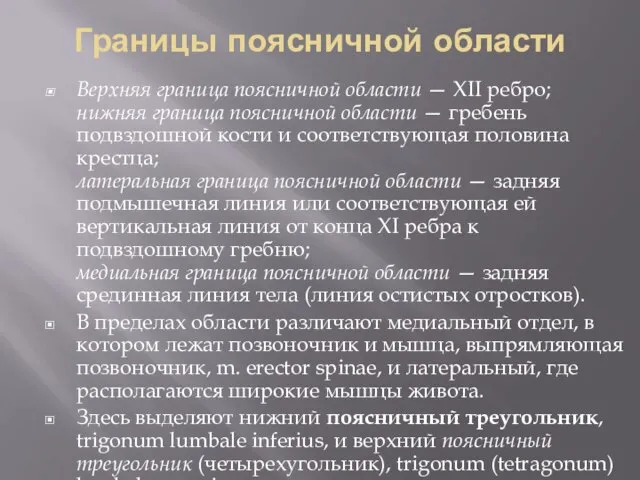 Границы поясничной области Верхняя граница поясничной области — XII ребро; нижняя