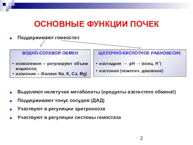 ОСНОВНЫЕ ФУНКЦИИ ПОЧЕК Поддерживают гомеостаз Выделяют нелетучие метаболиты (продукты азотистого обмена!)