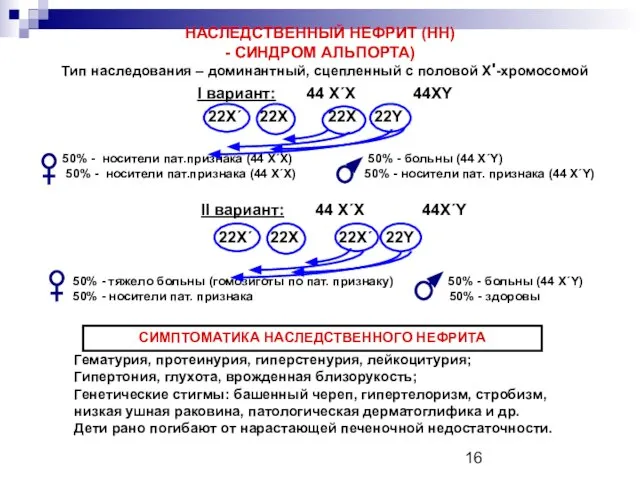 НАСЛЕДСТВЕННЫЙ НЕФРИТ (НН) - СИНДРОМ АЛЬПОРТА) Тип наследования – доминантный, сцепленный