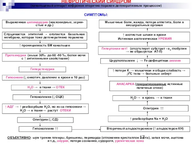 НЕФРОТИЧЕСКИЙ СИНДРОМ (канальцевый аппарат нефронов вторично поражен дегенеративным процессом) СИМПТОМЫ: Выраженная