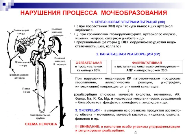 НАРУШЕНИЯ ПРОЦЕССА МОЧЕОБРАЗОВАНИЯ