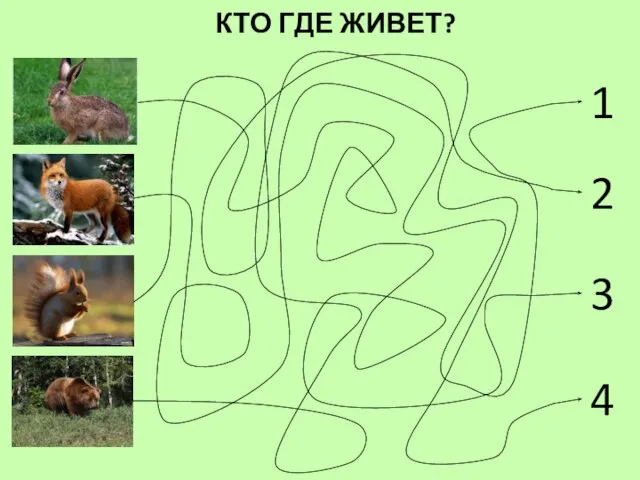 КТО ГДЕ ЖИВЕТ? 1 2 3 4