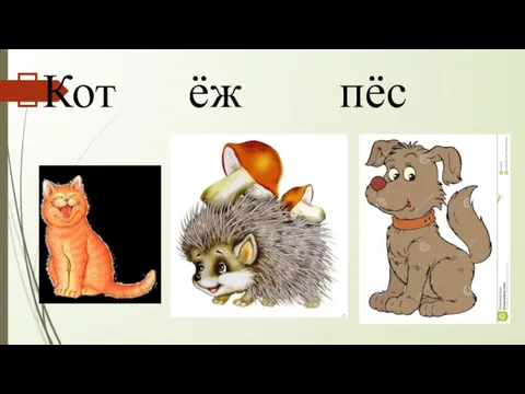 Кот ёж пёс