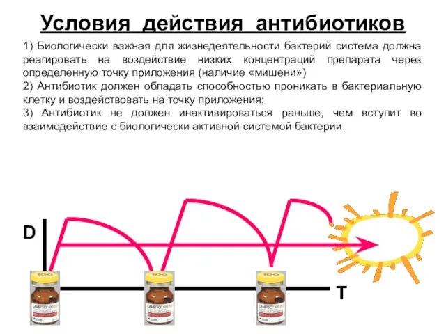 Условия действия антибиотиков 1) Биологически важная для жизнедеятельности бактерий система должна