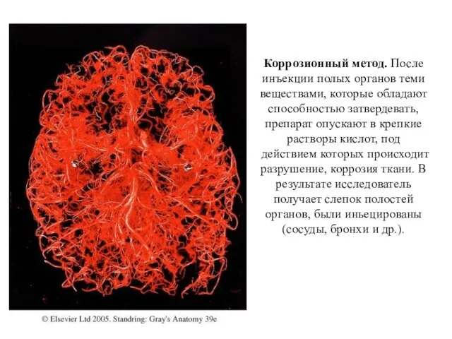 Коррозионный метод. После инъекции полых органов теми веществами, которые обладают способностью