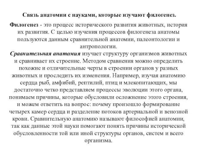 Связь анатомии с науками, которые изучают филогенез. Филогенез - это процесс