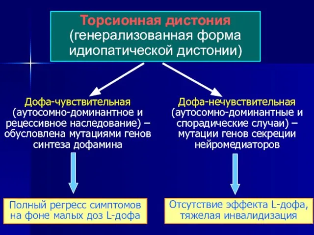 Торсионная дистония (генерализованная форма идиопатической дистонии) Дофа-чувствительная (аутосомно-доминантное и рецессивное наследование)