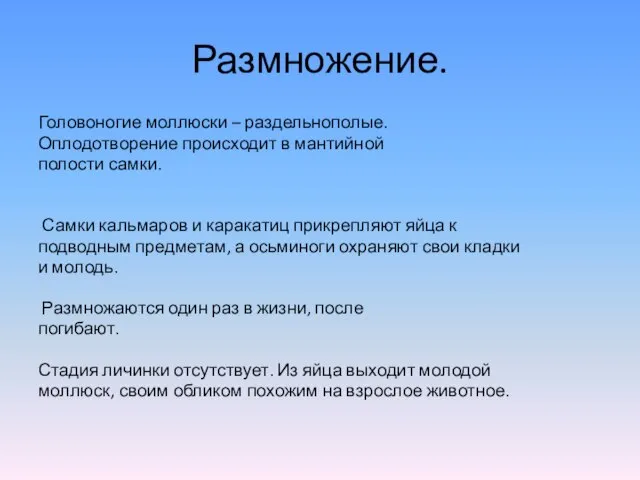 Размножение. Головоногие моллюски – раздельнополые. Оплодотворение происходит в мантийной полости самки.