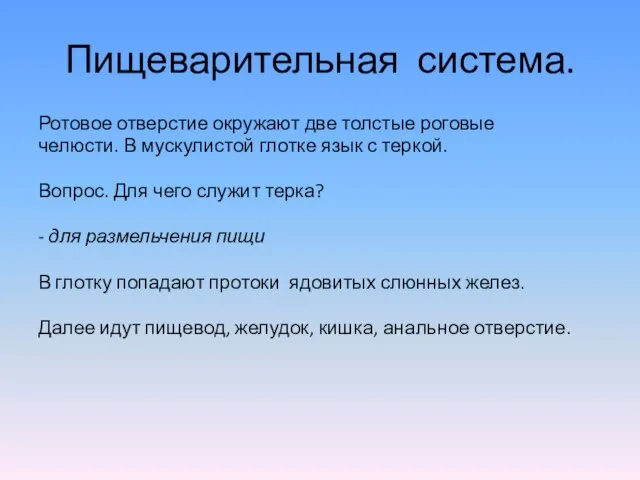 Пищеварительная система. Ротовое отверстие окружают две толстые роговые челюсти. В мускулистой