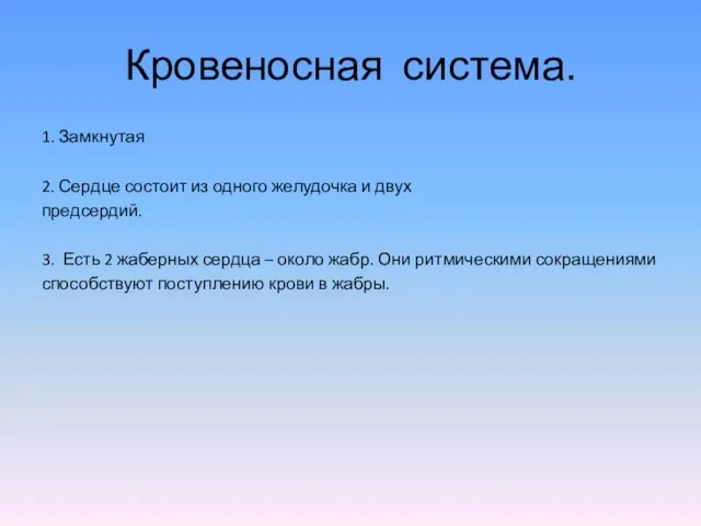 Кровеносная система. 1. Замкнутая 2. Сердце состоит из одного желудочка и