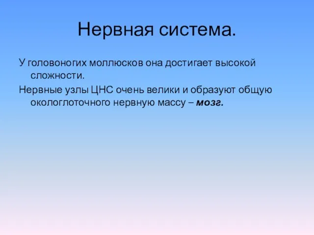 Нервная система. У головоногих моллюсков она достигает высокой сложности. Нервные узлы